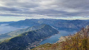 Kotor