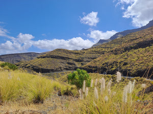 Grand Canary - The views all around are breathtaking and spectacular. We recommend to stop at safe places and get out of the car to fully enjoy the nature. Remember, drive slowly and carefully! 