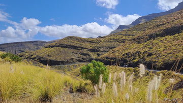 Madelavi Photo Album Blog, Grand Canary, Scenic mountain landscape, featuring golden hills, rugged terrain, and a winding road under a bright blue sky.