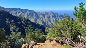 The Best of Tenerife: Top 10 Must-Visit Locations for Every Traveler
